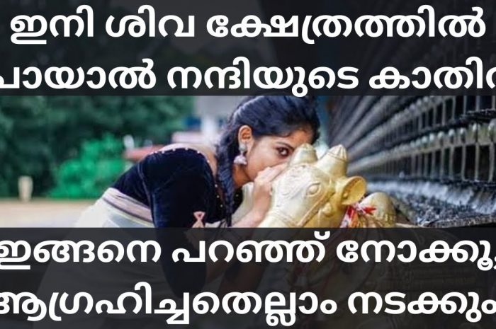 ശിവക്ഷേത്രത്തിൽ പോകുമ്പോൾ നന്ദിദേവനോട് പ്രാർത്ഥിക്കാതെ മടങ്ങരുത് കാരണം കേട്ടാൽ നിങ്ങൾ ഞെട്ടും