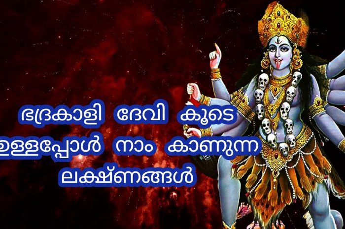 ദേവി കൂടെയുണ്ട് എന്ന് മനസ്സിലാക്കാൻ കാണിക്കുന്ന ചില ലക്ഷണങ്ങൾ