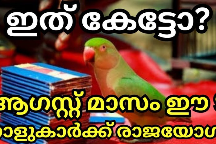 ആഗസ്റ്റ് മാസം ആരംഭത്തിൽ ഈ നക്ഷത്രക്കാർക്ക് രാജയോഗം