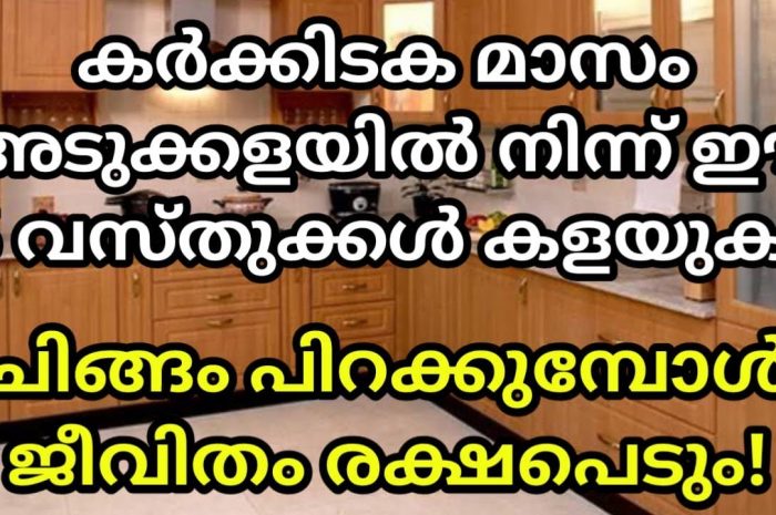 കർക്കിടകം കഴിഞ്ഞ് ചീങ്ങത്തിലേക്ക് കയറുമ്പോൾ തീർച്ചയായും നിങ്ങളുടെ വീടുകളിൽ ഇത്  ചെയ്യേണ്ടത് ആണ്.