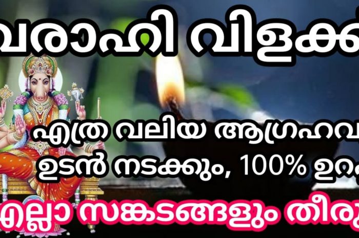 വരാഹിദേവിയോട് പ്രാർത്ഥിച്ച് കഴിഞ്ഞാൽ എത്ര വലിയ ആഗ്രഹവും നടന്നു കിട്ടും അതിനായി ഇങ്ങനെ മാത്രം ചെയ്താൽ മതി