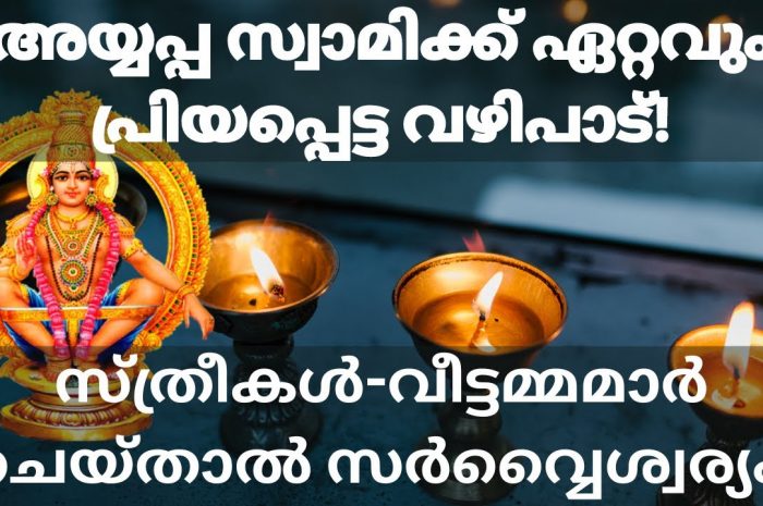 അയ്യപ്പ സ്വാമിക്കു സ്ത്രീകൾ പ്രധാനമായും ചെയ്യേണ്ട ചില കാര്യങ്ങൾ