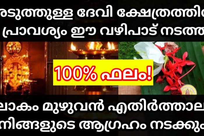 അടുത്തുള്ള ദേവി ക്ഷേത്രത്തിൽ ഈ വഴിപാടുകൾ ചെയ്തു പ്രാർത്ഥിക്കുക ഫലം ഞെട്ടിക്കുന്നതായിരിക്കും