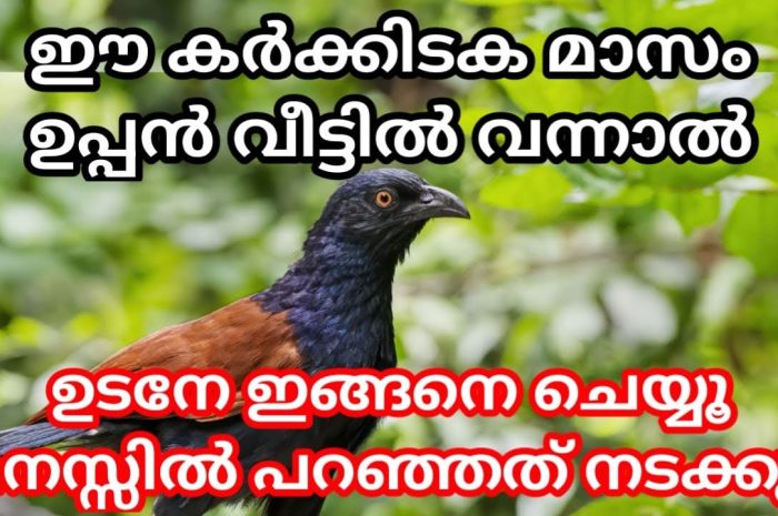 കർക്കിടക മാസം ഈ പക്ഷി നിങ്ങളുടെ വീട്ടിൽ വന്നിട്ടുണ്ടെങ്കിൽ നിങ്ങൾക്ക് മഹാഭാഗ്യം