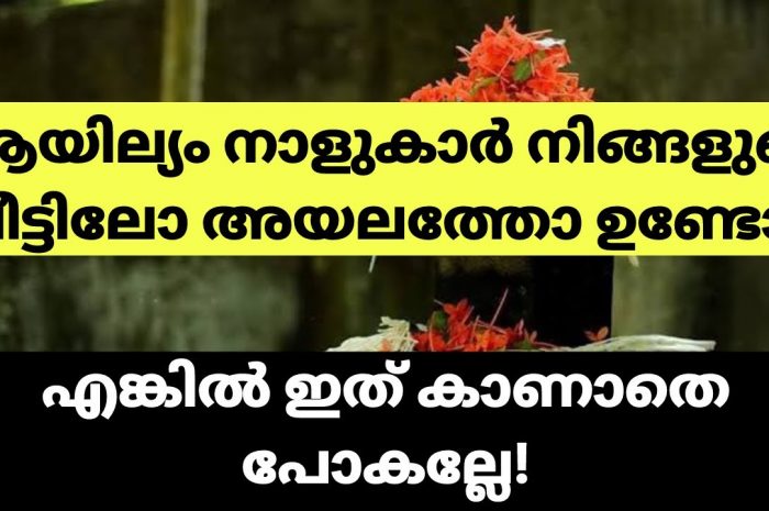 നിങ്ങൾ ആയില്യം നാളുകാർ തീർച്ചയായും അറിഞ്ഞിരിക്കേണ്ട ചില കാര്യങ്ങൾ