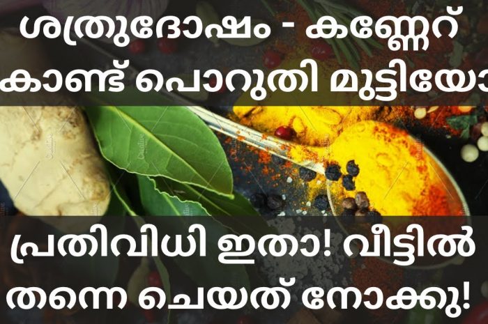 ശത്രു ദോഷവും കണ്ണേറിനും നമ്മുടെ വീട്ടിലിരുന്നുകൊണ്ടുതന്നെ പരിഹാരം കാണാം