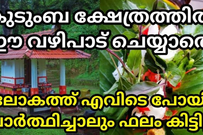 നിങ്ങൾ നിങ്ങളുടെ കുടുംബക്ഷേത്രത്തിൽ ഈ വഴിപാടുകൾ ചെയ്യാറുണ്ടോ ഇല്ലെങ്കിൽ തീർച്ചയായും ചെയ്യുക