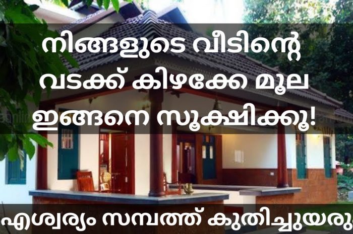 നിങ്ങളുടെ വീടിന്റെ ഈ ഭാഗത്തായി ഇത്തരത്തിലുള്ള ലക്ഷണങ്ങളുണ്ടോ എങ്കിൽ തീർച്ചയായും നിങ്ങൾ സൂക്ഷിക്കുക