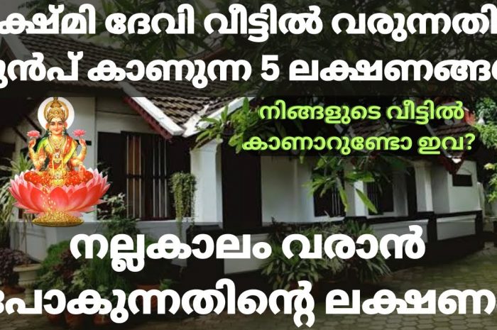 ലക്ഷ്മി ദേവിയുടെ സാന്നിധ്യം കുടുംബങ്ങളിൽ വരുമ്പോൾ ഉണ്ടാകുന്ന സൂചനകൾ