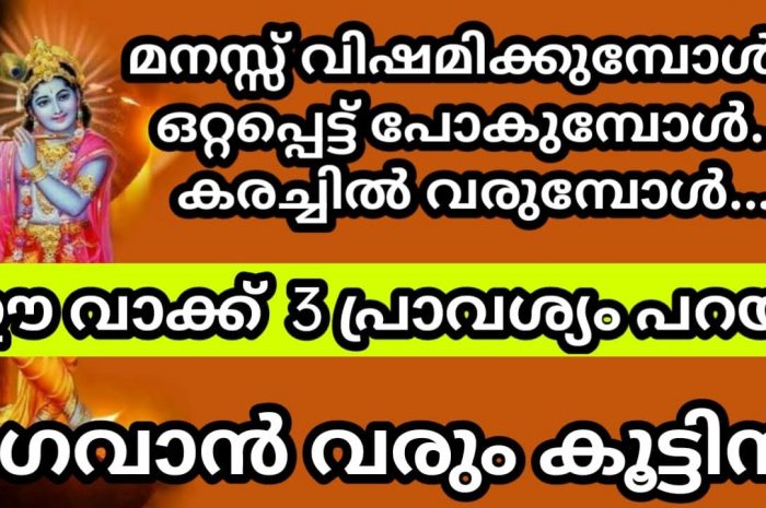 ഏതു പ്രശ്നങ്ങൾക്കും പരിഹാരം കാണാനായി ഈ മന്ത്ര ജപം  മാത്രം ജപിച്ചാൽ മതി