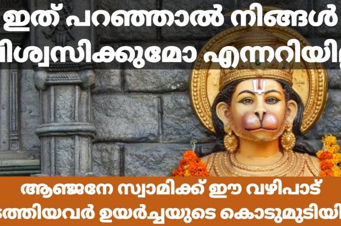 ആഞ്ജനേയ സ്വാമിക്ക് ഈ വഴിപാട് നടത്തിയാൽ കാര്യവിജയം ഉറപ്പ്