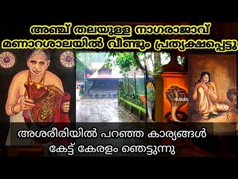 മണ്ണാറശാലയെ കുറിച്ച് അറിയാത്തവർ തീർച്ചയായും അറിഞ്ഞിരിക്കുക അവിടുത്തെ ശക്തിയെക്കുറിച്ച് മനസ്സിലാക്കാതെ പോകരുത്