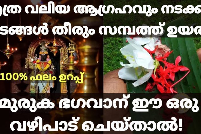 നിങ്ങളുടെ ജീവിതത്തിൽ ഉയർച്ചയ്ക്ക് വേണ്ടി നിങ്ങൾ ഈ വഴിപാടുകൾ ചെയ്തു പ്രാർത്ഥിച്ചു നോക്കൂ തീർച്ചയായും നിങ്ങളുടെ ജീവിതത്തിൽ വലിയ അത്ഭുതങ്ങൾ നടക്കും