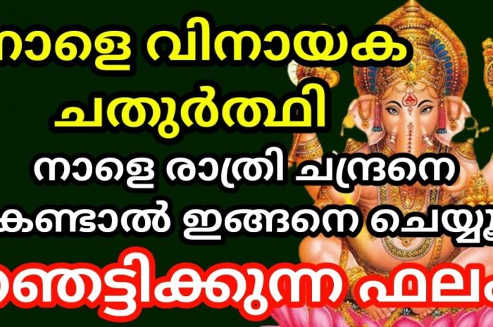 വിനായക ചതുർത്തി ദിവസം നിങ്ങൾ ഇങ്ങനെ പ്രാർത്ഥിച്ചു നോക്കൂ തീർച്ചയായും നിങ്ങളുടെ ജീവിതത്തിൽ വലിയ മാറ്റങ്ങൾ തന്നെ സംഭവിക്കും.