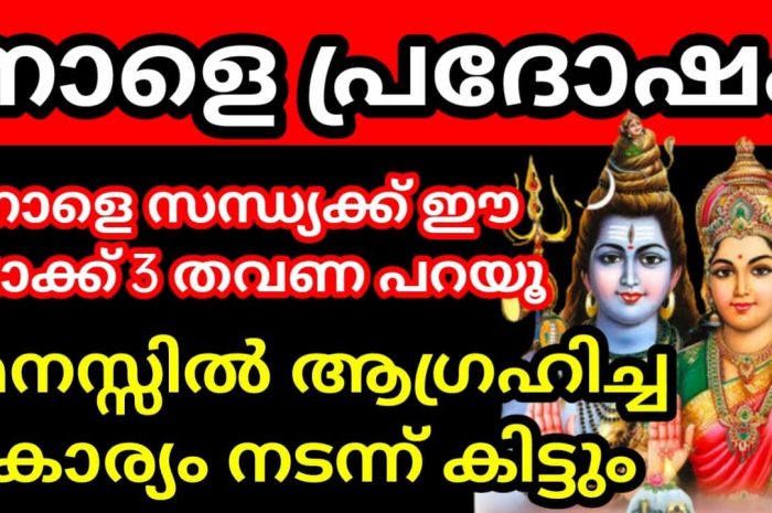 ചിങ്ങം മാസത്തിലെ പ്രദോഷ ദിവസം ശിവ ഭക്തർക്ക്  പ്രിയപ്പെട്ടതാണ് എന്നാൽ അവർ ചെയ്യേണ്ട ചില കാര്യങ്ങളും