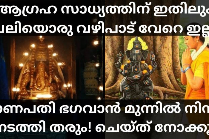 നിങ്ങളുടെ ജീവിതത്തിലെ ഏറ്റവും നടക്കില്ല എന്ന് പറഞ്ഞ ആഗ്രഹവും നടക്കാനായി ഗണപതി ഭഗവാനെ ഈ വഴിപാട് ചെയ്തു നോക്കൂ