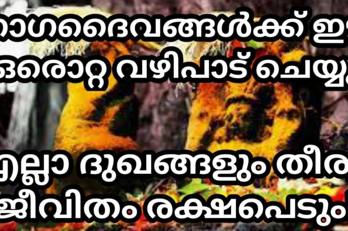 നിങ്ങൾ നാഗ ദൈവങ്ങൾക്ക് ഇത്തരത്തിലുള്ള വഴിപാടുകൾ ചെയ്യാറുണ്ടോ എങ്കിൽ തീർച്ചയായും നിങ്ങൾക്ക് നല്ല കാലം