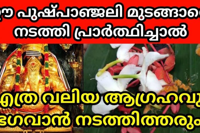 ആഗ്രഹ സഫലീകരണത്തിനായി ഗണപതിക്ക് ഈ വഴിപാട് ചെയ്തു നോക്കൂ തീർച്ചയായും ഫലം ഉറപ്പ്