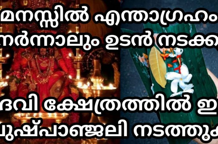 നമ്മുടെ ജീവിതത്തിലെ വലിയ ഐശ്വര്യങ്ങൾക്കും ആഗ്രഹങ്ങളും നേടിയെടുക്കാൻ വേണ്ടി ദേവിക്ക് ഈ പറയുന്ന വഴിപാടുകൾ ചെയ്തു നോക്കൂ