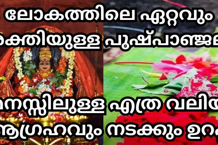 ലോകം തന്നെ നടക്കില്ല എന്ന് പറഞ്ഞ കാര്യം ഇങ്ങനെ  ദേവിയോട് പ്രാർത്ഥിച്ചു കഴിഞ്ഞാൽ നടന്നു കിട്ടും