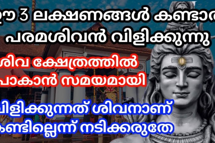 നിങ്ങൾ ഇടയ്ക്കിടയ്ക്ക് ഇത്തരത്തിലുള്ള സ്വപ്നങ്ങൾ കാണാറുണ്ടോ എന്നാൽ ഇതാണ് അതിനുള്ള കാരണം