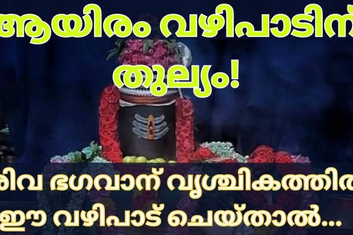 ഒരുപാട് വഴിപാടുകൾ ചെയ്തിട്ടും ഫലം ലഭിക്കുന്നില്ല എങ്കിൽ ശിവഭഗവാനോട് ഈ ഒറ്റ വഴിപാട് ചെയ്താൽ മതി തീർച്ചയായും നിങ്ങളെ എല്ലാ ആഗ്രഹവും സാധിച്ചു കിട്ടും