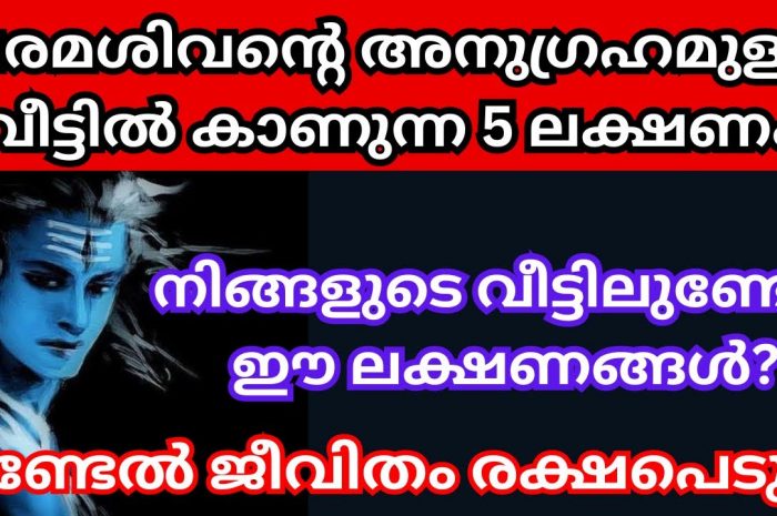 നിങ്ങളുടെ വീടുകളിൽ ഇത്തരത്തിലുള്ള ലക്ഷണങ്ങളുണ്ടോ തീർച്ചയായും നിങ്ങൾ അറിഞ്ഞിരിക്കേണ്ട വലിയ ഒരു സത്യം