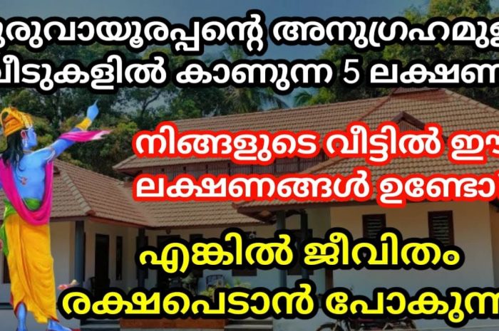 ഇത്തരത്തിലുള്ള ലക്ഷണങ്ങൾ നിങ്ങൾക്ക് അനുഭവപ്പെടാറുണ്ടോ എന്നാൽ ശ്രീകൃഷ്ണ ഭഗവാൻ നിങ്ങളെ അനുഗ്രഹിച്ചു എന്ന് വേണം കരുതുവാൻ