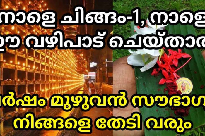 ചിങ്ങം ഒന്ന് പുതുവർഷo ഈ ദിവസം നിങ്ങൾ ഇങ്ങനെ ചെയ്തു കഴിഞ്ഞാൽ നിങ്ങളുടെ ഒരു വർഷം എപ്പോഴും ഐശ്വര്യപൂർണ്ണമായിരിക്കും