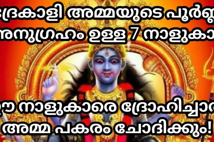 നിങ്ങടെ നാള് ഈ പറയുന്നവയിൽ ഏതെങ്കിലും ആണോ എന്നാൽ ഭദ്രകാളി ദേവിയുടെ അനുഗ്രഹം നിങ്ങൾക്കുണ്ട്