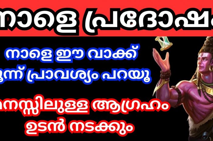 ഇന്ന് പ്രദോഷം ഇന്നേദിവസം ഇങ്ങനെ പ്രാർത്ഥിച്ച്  കഴിഞ്ഞാൽ നിങ്ങൾക്ക് വളരെയേറെ അത്ഭുതകരമായ അനുഗ്രഹം ലഭിക്കും