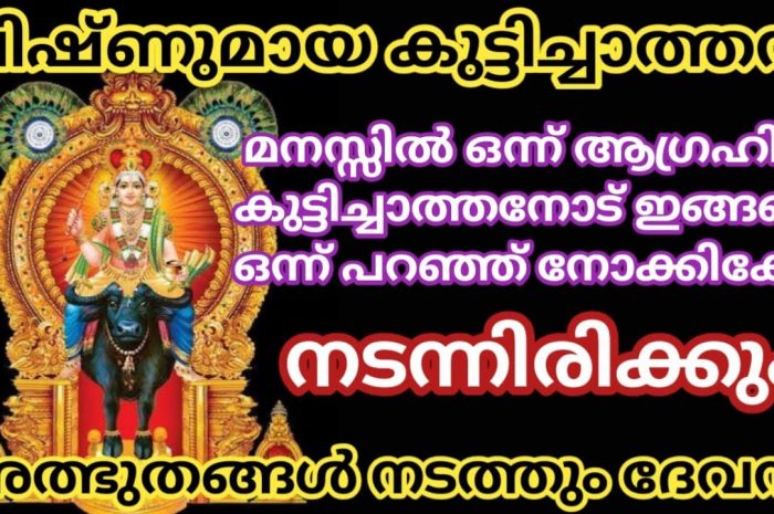 വിഷ്ണുമായ കുട്ടിച്ചാത്തനോട് നിങ്ങൾ ഇതേപോലെ പ്രാർത്ഥിച്ച് നോക്കൂ തീർച്ചയായും നിങ്ങൾക്ക് നല്ലൊരു ഫലം ലഭിക്കുന്നതാണ്