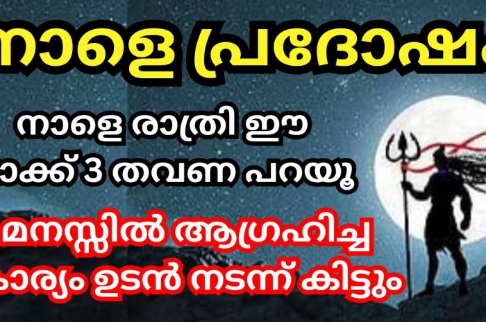 ചിങ്ങമാസത്തിലെ പ്രദോഷ ദിവസം ശിവ ഭക്തർക്ക് ഈ പറയുന്ന അനുഗ്രഹം ലഭിക്കുന്നതാണ്