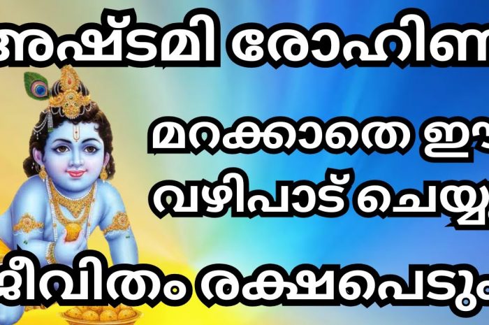 അഷ്ടമി രോഹിണി ദിവസം നിങ്ങൾ ഇതേപോലെ പ്രാർത്ഥിച്ച് നോക്കൂ തീർച്ചയായും ഭഗവാൻ സാധിക്കും