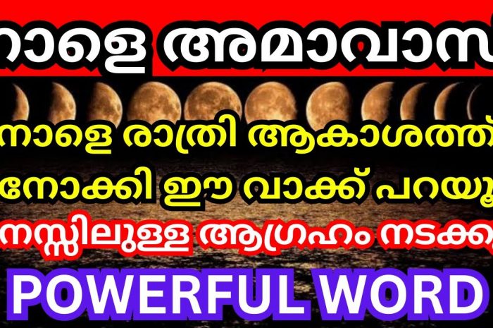 ചിങ്ങമാസത്തിലെ അമ്മാവാസി ദിവസം നിങ്ങൾ ഇതുപോലെ ചെയ്തു നോക്കൂ ദൃഷ്ടി ദോഷം ഇല്ലാതാക്കാം