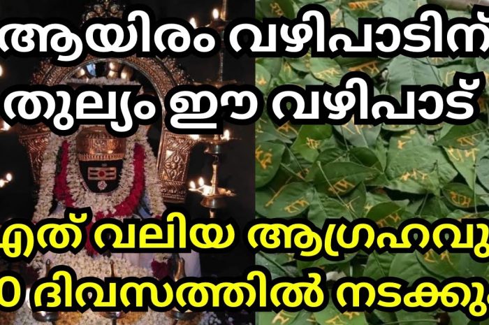 നിങ്ങടെ ജീവിതത്തിലെ ഏത് ആഗ്രഹവും സാധിച്ചു കിട്ടുന്നതിനായി ഈ ഒറ്റ വഴിപാട് ചെയ്താൽ മതി