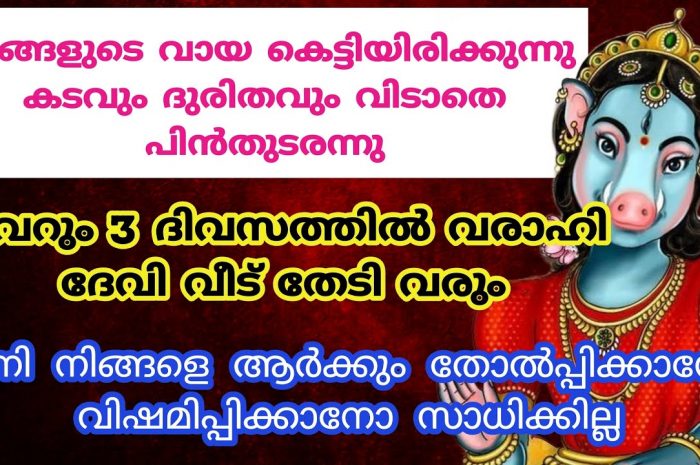 വരാഹിദേവിയോട് നിങ്ങൾ ഈ രീതിയിൽ പ്രാർത്ഥിക്കുക തീർച്ചയായും നിങ്ങൾക്ക് ഐശ്വര്യപൂർണ്ണമായ ഒരു ജീവിതമാവും ലഭിക്കുക