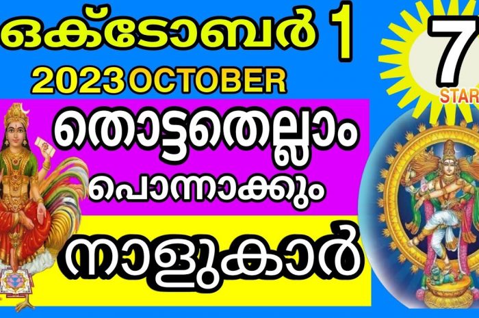 ഈ പറയാൻ പോകുന്ന നക്ഷത്രക്കാർക്ക് രാജയോഗം തന്നെയാണ് ഇവർ ചെയ്യേണ്ട ചില കാര്യങ്ങൾ