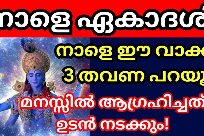 ഈ മഹത്വപൂർണ്ണമായ ഏകാദശിക്ക് ഒരിക്കലും ഒഴിച്ചുകൂടാൻ ആവാത്ത ചില കാര്യങ്ങളുണ്ട് ഇത് തീർച്ചയായും ചെയ്യുക