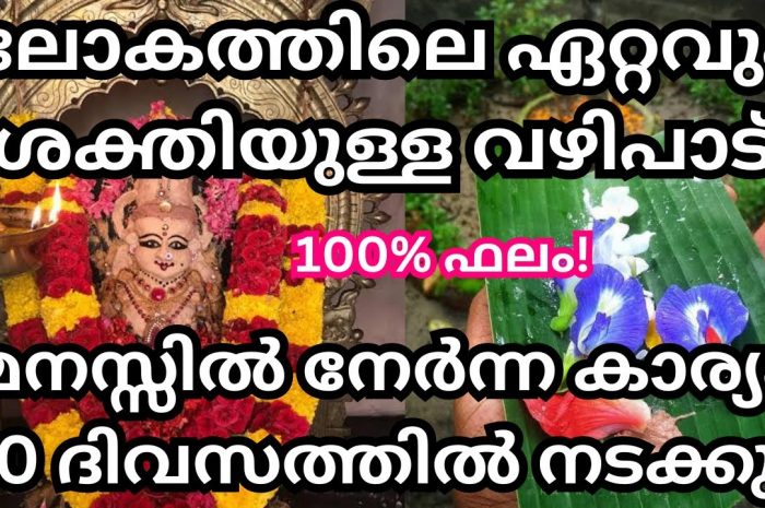 നിങ്ങളുടെ ആഗ്രഹങ്ങൾ പെട്ടെന്ന് നടക്കുവാൻ വേണ്ടി അത്രയും ശക്തിയുള്ള ഒരു വഴിപാട് ചെയ്താൽ മതി