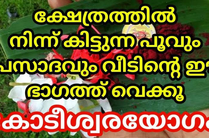 ക്ഷേത്രത്തിലെ പൂവും പ്രസാദവും ഇങ്ങനെ സൂക്ഷിക്കാം, പണം വന്ന് കുമിഞ്ഞു കൂടും.