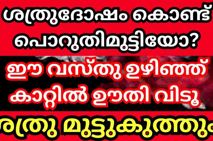 ശത്രുദോഷം ഇല്ലാതിരിക്കാൻ നിങ്ങൾ ഇതുപോലെ ചെയ്തു നോക്കൂ തീർച്ചയായും ഫലം ഉറപ്പാണ്