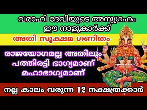 ഈ 12 നാളുകാർക്കും രാജയോഗം എന്നൊക്കെ വേണമെങ്കിൽ പറയാം എന്നാൽ ഇവ തീർച്ചയായും ശ്രദ്ധിക്കേണ്ട ചില കാര്യങ്ങളുണ്ട്