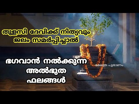 നിങ്ങടെ വീടുകളിൽ തുളസി ഉണ്ടെങ്കിൽ തീർച്ചയായും അറിഞ്ഞിരിക്കേണ്ട ചില സത്യങ്ങൾ