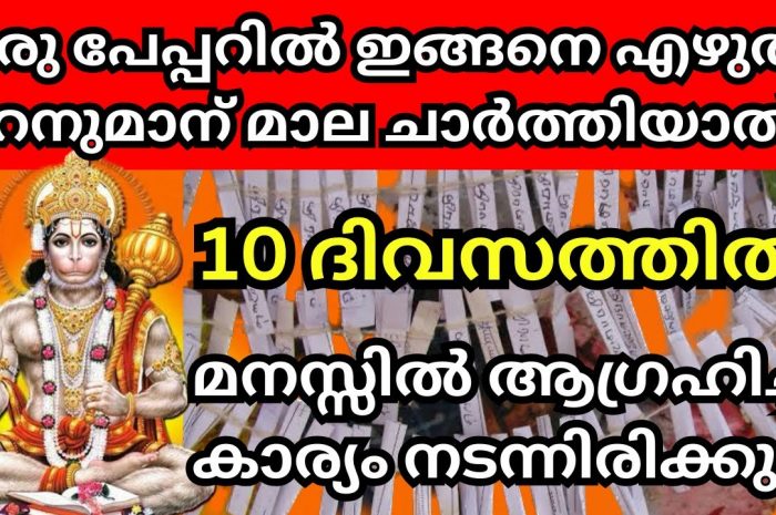 ഹനുമാൻ സ്വാമിയുടെ ഭക്തരാണ് എന്നുണ്ടെങ്കിൽ തീർച്ചയായും നിങ്ങൾ ഇത് ചെയ്തു നോക്കൂ ജീവിതത്തിൽ വിജയം ഉറപ്പാണ്