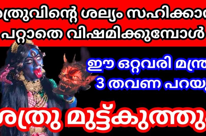 നിങ്ങളുടെ ജീവിതത്തിൽ ശത്രുക്കൾ മൂലം ഒരുപാട് ബുദ്ധിമുട്ട് ഉണ്ടെങ്കിൽ ഈ ഒരു മന്ത്രജപം മൂന്നു പ്രാവശ്യം ജപിച്ചു നോക്കൂ