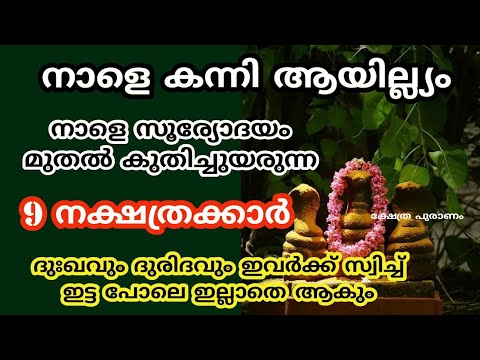 കന്നിയിലെ ആയില്ല്യത്തിൽ ഇങ്ങനെ ചെയ്താൽ എന്തും സാധിക്കാം.