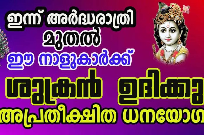 നിങ്ങളുടെ നക്ഷത്രം ഈ പറയുന്നവനാണെങ്കിൽ നിങ്ങൾക്ക് ഇനിമുതൽ ശുക്രദിനമാണ്