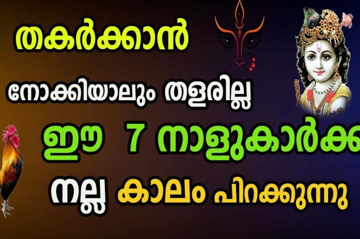 ഈ നക്ഷത്രക്കാരെ ആര് എങ്ങനെ തകർക്കാൻ നോക്കിയാലും സാധിക്കില്ല അത്രയേറെ പിടിച്ചാൽ കിട്ടാത്ത ചില നഷ്ടക്കാർ