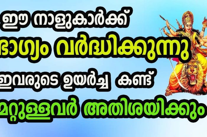 ഇവരുടെ ജീവിതത്തിലെ ഉയർച്ചകൾ ഇനിയങ്ങോട്ട് വച്ചടി വച്ചടി  കയറ്റം ആയിരിക്കും അത്തരത്തിൽ ഭാഗ്യമുള്ള ചില നക്ഷത്രക്കാർ